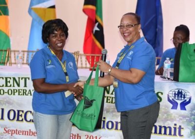 CICL Partners with OECS Summit #20