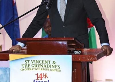 CICL Partners with OECS Summit #9